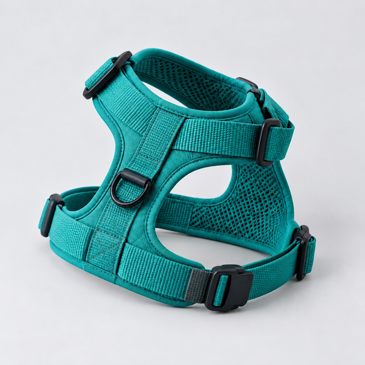 Concept photograph of everyday walk harness
